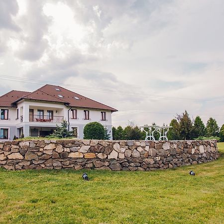 Conacul Dante Hotel Pianu de Jos Екстериор снимка