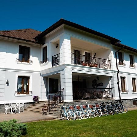 Conacul Dante Hotel Pianu de Jos Екстериор снимка