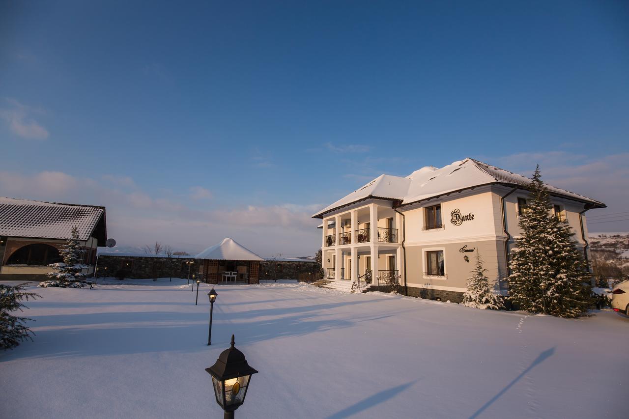 Conacul Dante Hotel Pianu de Jos Екстериор снимка