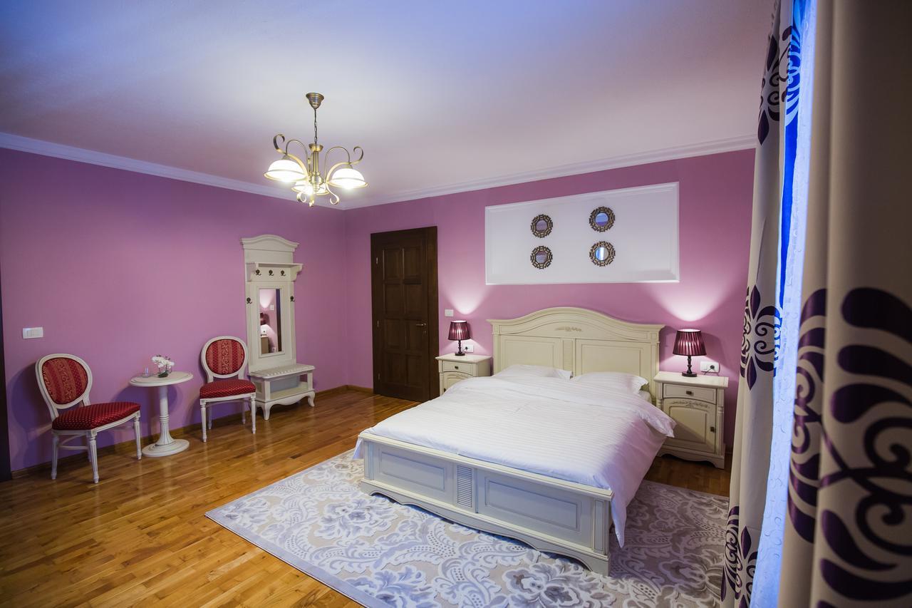 Conacul Dante Hotel Pianu de Jos Екстериор снимка