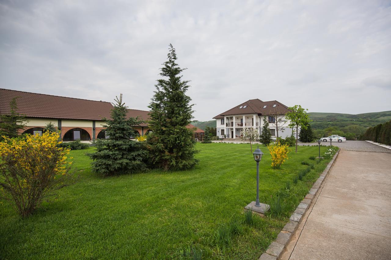 Conacul Dante Hotel Pianu de Jos Екстериор снимка