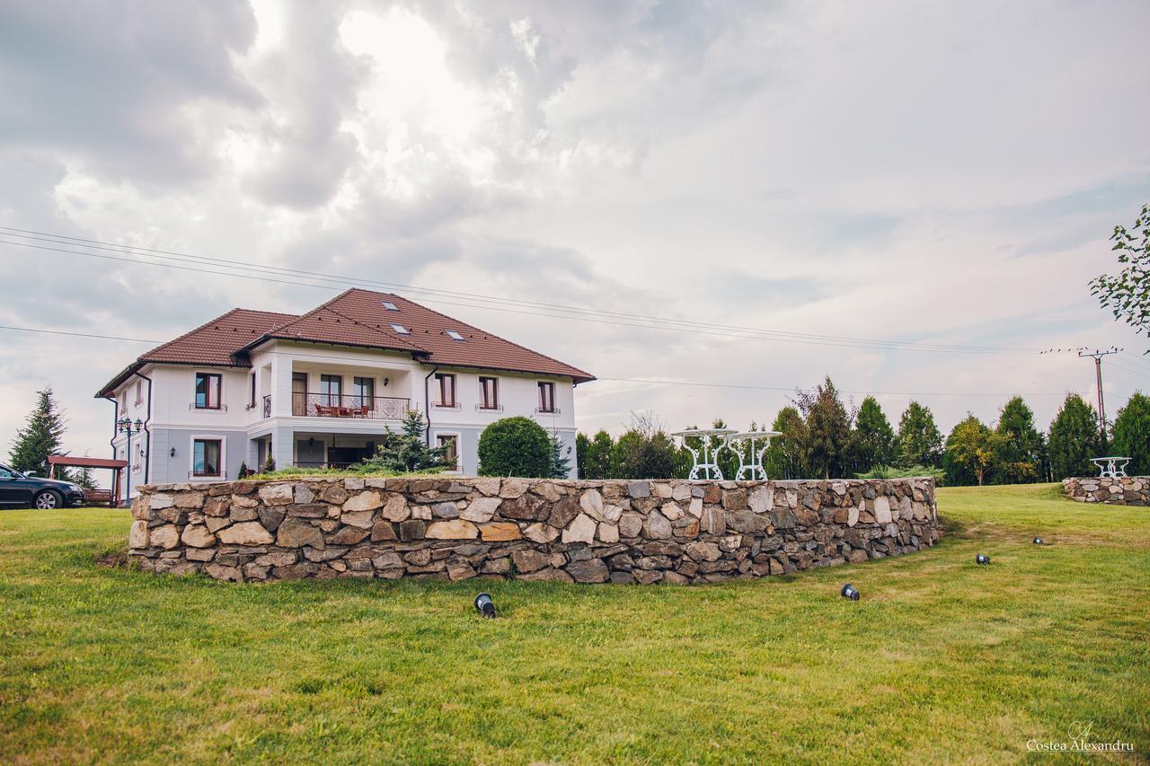 Conacul Dante Hotel Pianu de Jos Екстериор снимка