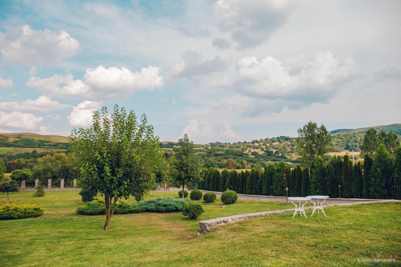 Conacul Dante Hotel Pianu de Jos Екстериор снимка