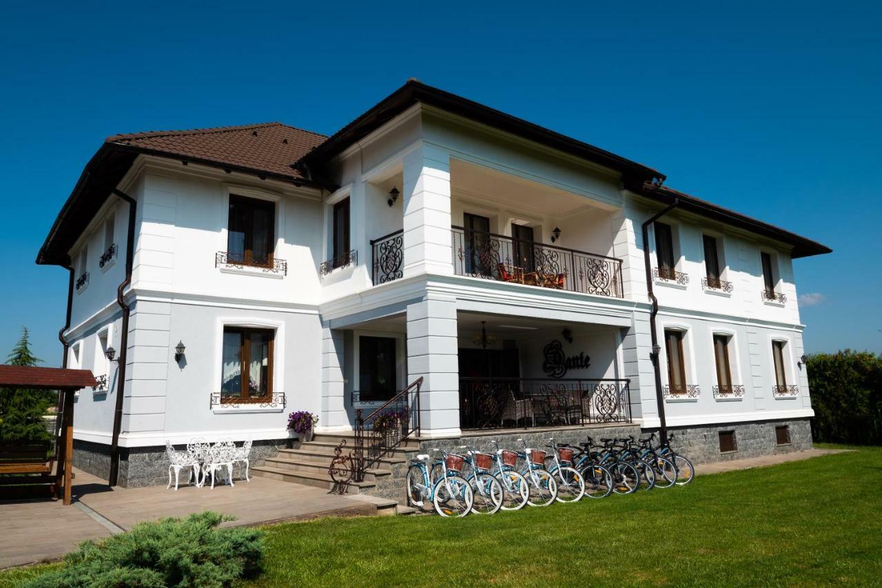 Conacul Dante Hotel Pianu de Jos Екстериор снимка